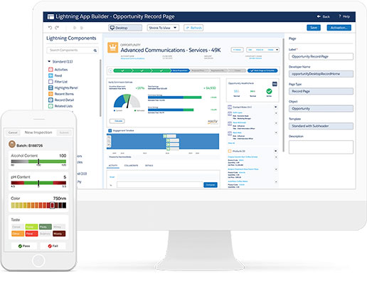 Presentamos Salesforce Platforma Presentamos la Plataforma Salesforce