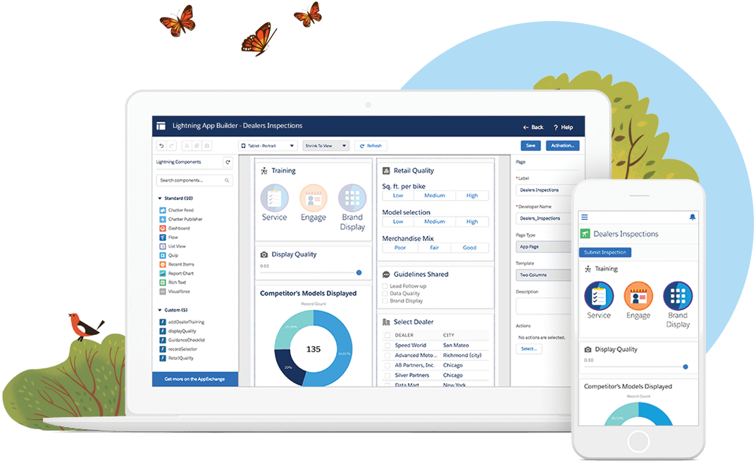 Salesforce Platform