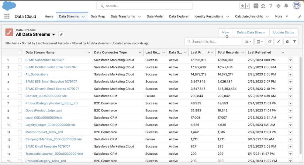 Salesforce Data Cloud