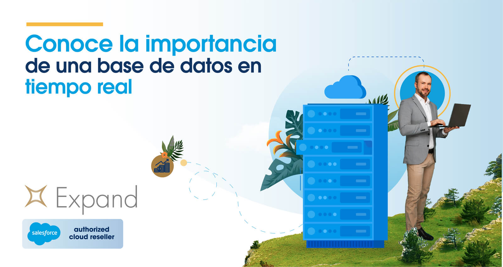 Importancia de una base de datos en tiempo real