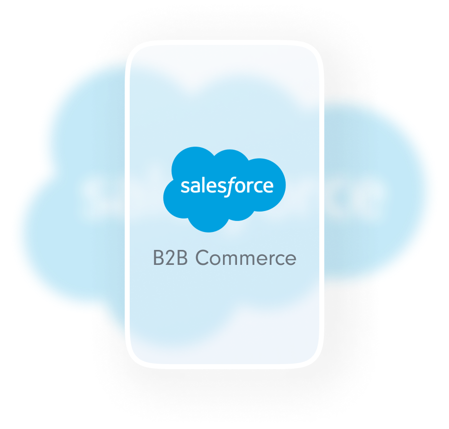 Salesforce B2B